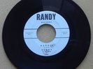 KENNY AND THE CADETS 45 RECORD BARBIE / WHAT IS A YOUNG GIRL MADE OF- BEACH BOYS