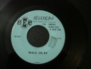THE EMBERS WALK ON BY 45 RECORD SHAKE RATTLE AND ROLL NM