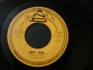 THE DESTINATIONS ANDO'S THEME 45 RECORD I CAN'T LEAVE YOU