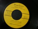 EMORY AND THE DYNAMICS IT SURE WOULD BE NICE 45 RECORD LET'S TAKE A LOOK PROMO