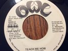 WEE Teach Me How / Try Me on OWL wmo 2 from 1976 northern soul 7” 45