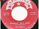 THE SPROUTS “Teen Billy Baby” SPANGLE private OHIO rockabilly HEAR  VG+ RARE 45
