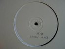 EROLL ALVES Seige BLANK PRE  UK Digi Roots Killer  Reggae 12