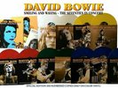 DAVID BOWIE THE SEVENTIES IN CONCERT IMPORT 11 LP COLORED VINYL BOX SET NEW