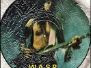 W.A.S.P. INTERVIEW RARE Vinyl Record Picture Disc