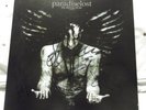 Paradise Lost - In Requiem 7 inch Box Set Used in very good condition (signed)