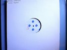 GEORGE HARRISON (BEATLES) w/JON LORD GONE TROPPO RARE ORIG '82 LP TEST PRESSING