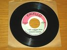 BLUES 45 RPM - LONESOME SUNDOWN - EXCELLO 2249 - 