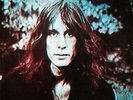 TODD RUNDGREN - Hermit of Mink Hollow 180 Gram Audiophile Vinyl Friday Music LP