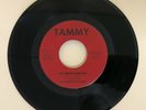 The Alberto Combo ?– The Green Monster / Love Me Love Me 1965 RARE GARAGE ROCK