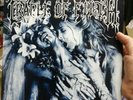 Cradle Of Filth - The Principle Of Evil Made Flash - Lp