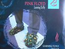 PINK FLOYD LEARNING TO FLY 7