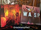 W.A.S.P. LIVE..IN THE RAW US CAP REC 48053 LP & Animal UK 12” 12 Kut 109 Both Ex