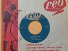 M.G. & THE ESCORTS 45 A Someday Fool 1967 canadian garage rock holy grail