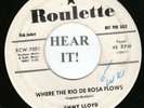 Jimmy Lloyd ROCKABILLY 45 (Roulette 7001 PROMO) Where The Rio De Rosa Flows  VG+