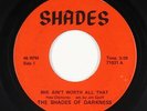 Garage 45 - Shades Of Darkness - She Ain't Worth All That - Shades - mp3 - rare