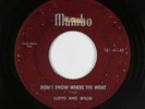 R&B 45 - Lloyd & Willie - Don't Know Where She Went - Mambo - mp3