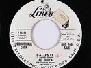 R&B Soul Latin Exotica 45 - Leo Quica - Caliente - Liberty - VG++ mp3