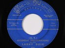 Psych C&W 45 - Larry Doig - (D.T.) Alcoholic Hallucinations - Hi-G Lo-C - mp3
