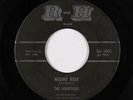 Surf Inst. 45 - Ramrods - Night Ride - R and H - mp3