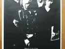 THE CRAMPS - HUMAN FLY ORIGINAL POSTER AFFICHE - VERY RARE