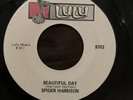 Rare Funk 45 - Spider Harrison - Beautiful Day - Lulu 9703 - NM