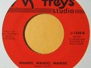 funk soul 45 WAYNE CARTER Wahoo, Wahoo, Wahoo MOOTREYS listen rare