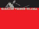 VELOSO,CAETANO-TRANSA (SPA) (UK IMPORT) VINYL LP NEW