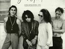 JANE'S ADDICTION - Lollapalooza 1991: Washington DC Broadcast 16th August 1991