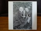 Rudimentary Peni - Cacophony / Vinyl LP / Crass / Outer Himalayan Records