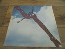 Free - Same UK LP ISLAND EX PINK RIM PALM TREE LABELS