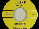 Sons Of Adam 