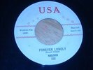 THE NOBLEMEN  SURF 45.  DIRTY ROBBER  /  FOREVER LONELY.