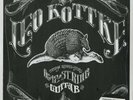 Leo Kottke, 6 & 12 String Guitar 140g LP from the Michael Hobson Archives