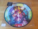Manic Street Preachers The Holy Bible 20 Vinyl Picture Disc