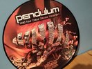 PENDULUM VINYL PICTURE DISC,drum n bass