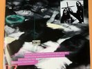 NIRVANA & THE FLUID SPLIT 7