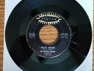 Vtg 45 The Sidewalk Surfers ?Skate Board / Fun Last Summer Jubilee 45-5496 '65
