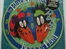THE BLACK CROWES 12