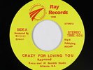 Modern Deep Soul 45 - Raymond - Crazy For Loving You - Ray - VG++ mp3 - obscure