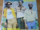 The Viceroys ?– We Must Unite  Original Vinyl LP  TROJAN