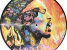 Jimi Hendrix - Picture disc LP - Purple Haze - Live IoW - not tmoq takrl