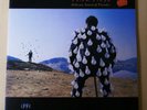 Pink Floyd ?– Delicate Sound Of Thunder