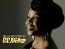 P.P. Arnold : The New Adventures Of... P.P. Arnold VINYL 12