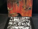 Original Holland LP Slayer - Hell Awaits 1985 Rock Metal Thrash