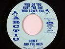 Northern Soul 45 - Honey & The Bees - Why Do You Hurt The One - Arctic - VG+ mp3
