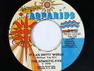 Sweet Soul 45 - Domestic-Five - It's An Empty World - Aquarius - mp3
