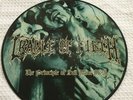 Cradle of Filth-The Principle of Evil Made Flesh (Picture Disc) L.P