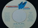 THE LOST FAMILY-BLOW MY MIND /PRETTY FACE-70'S SOUL 45 on International Music