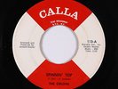 Northern/Deep Soul 45 - Orlons - Spinnin' Top - Calla - mp3
